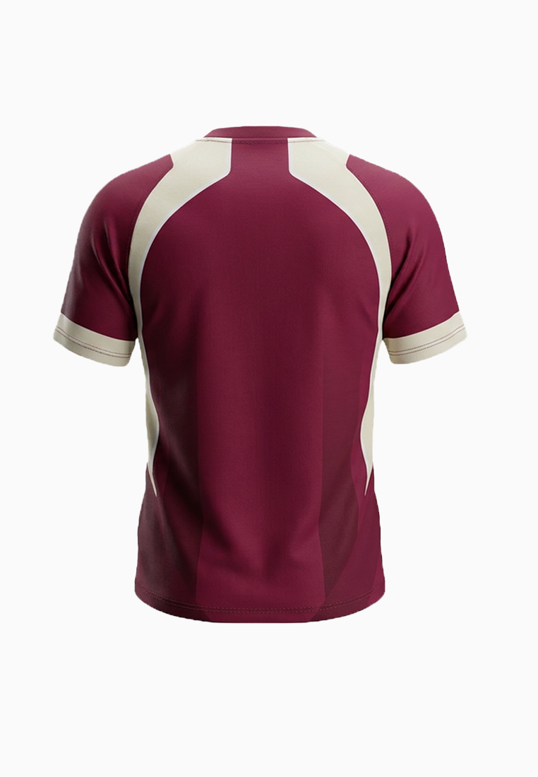 ViQ Crimson Unisex V-Neck Tee