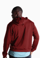 ViQ Men's Sports Hoodie II