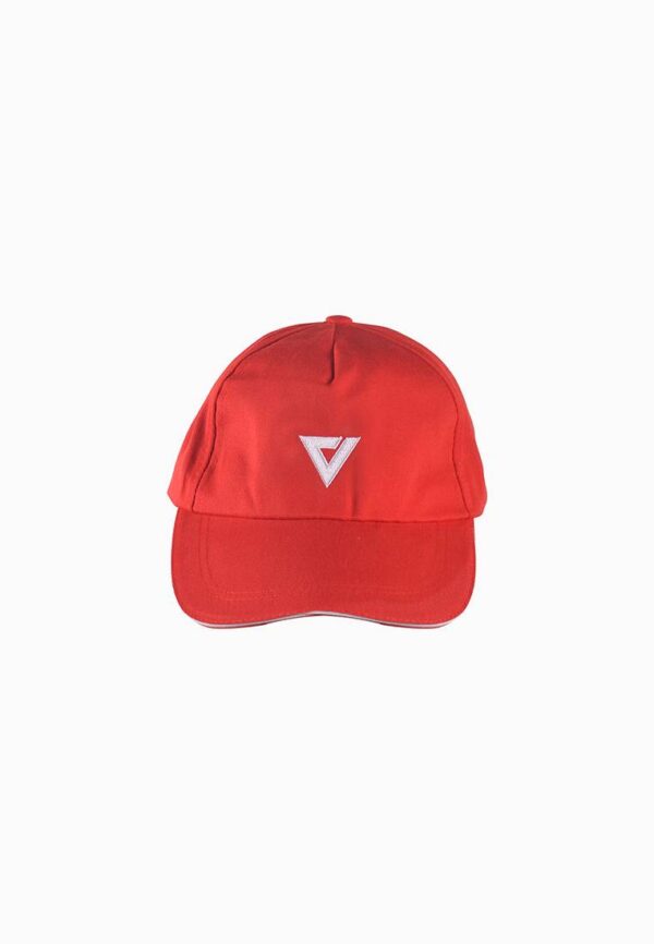 ViQ Baseball Cap - Image 6